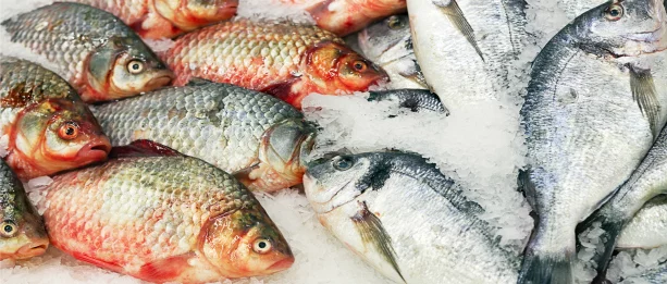 Trote e otarie serviti su una bancarella con del ghiaccio, tra i responsabili dell'intolleranza al pesce.