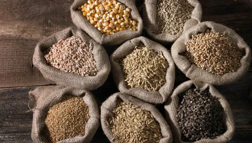 Sacchi di yuta che contengono diversi tipi di cereali (riso, grano, frumento, quinoa), alimenti ricchi di carboidrati.