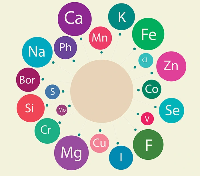 Iconografia con i nomi dei vari micronutrienti, tra cui ferro, zinco e calcio.